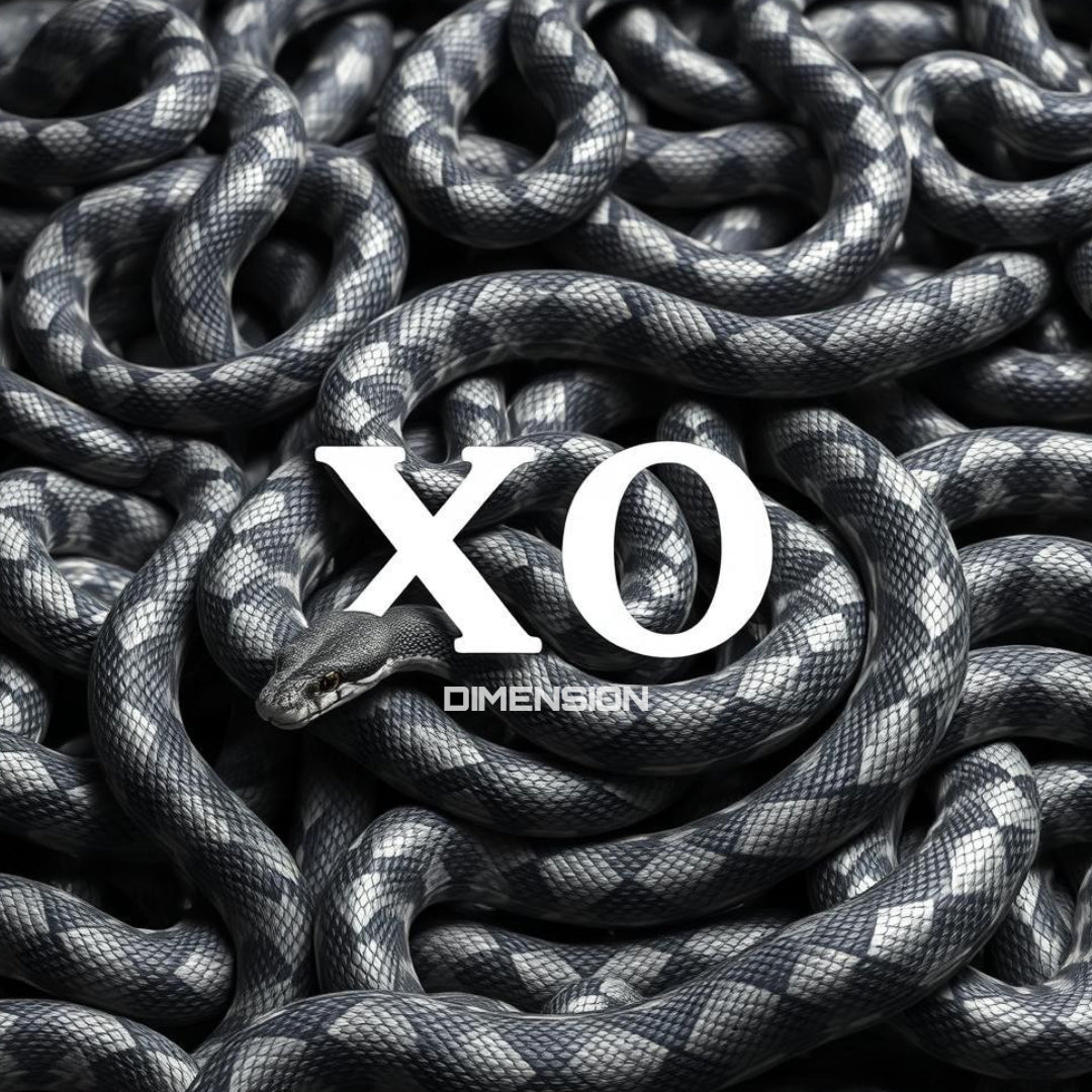 streetwear_xodimension_season_4_theme